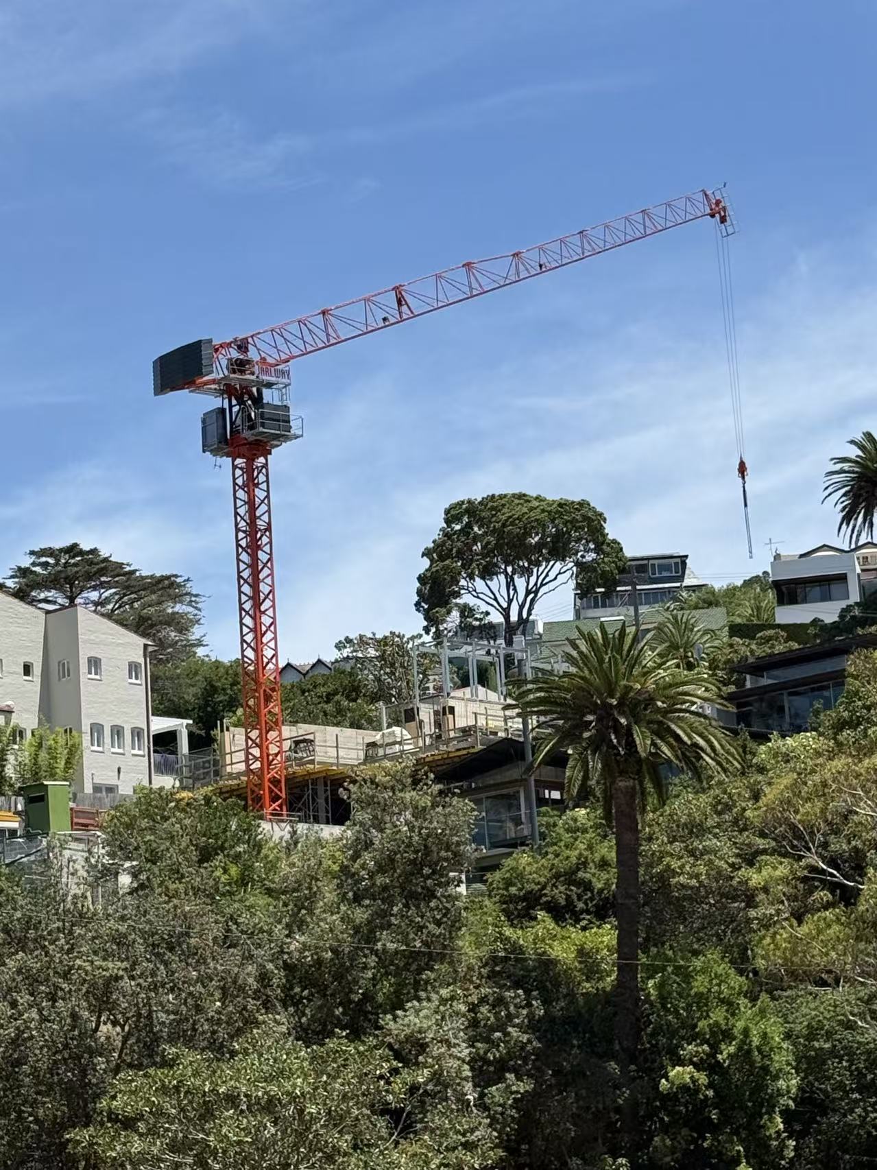 Hydraulic Luffing Crane